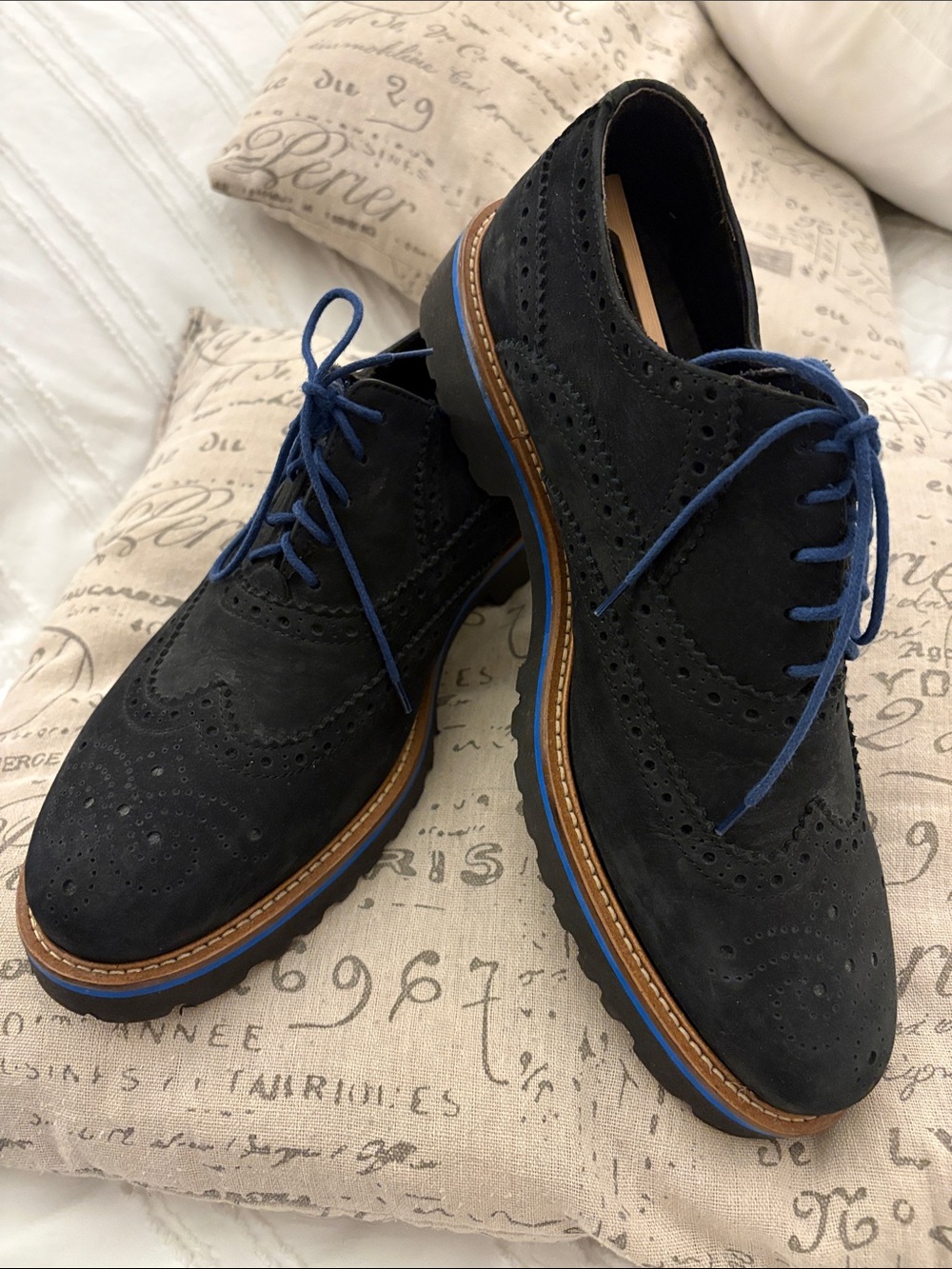Bruno Magli Black Velvety Suede Wingtip Derbys with Blue Laces - 10.5 Men’s